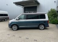 T6 California Ocean 4 Motion DSG 204 ch