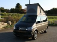 T6 California Coast Edition TDI  MAT GRIS FOIL