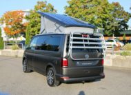 T6 California Coast Edition TDI  MAT GRIS FOIL
