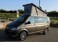 T6 California Coast Edition TDI  MAT GRIS FOIL