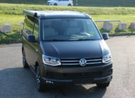 T6 California Coast Edition TDI  MAT GRIS FOIL