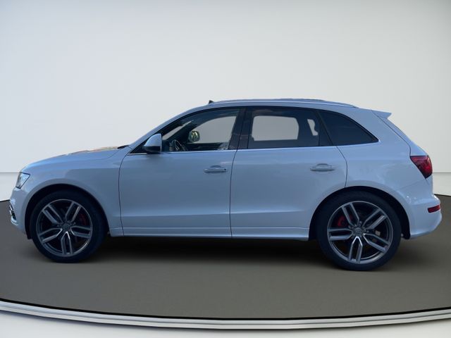 Audi SQ5 3.0 TDI plus quattro Pano